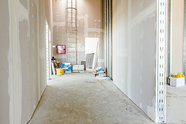 Professional Drywall and Painting Service in Pinewood, FL